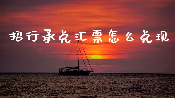 招行承兑汇票怎么兑现_https://wap.kuaijiepai.net_财务风控_第1张
