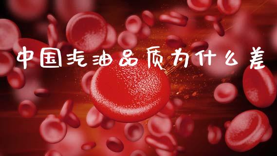 中国汽油品质为什么差_https://wap.kuaijiepai.net_外汇交易_第1张