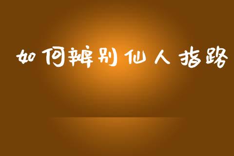 如何辨别仙人指路_https://wap.kuaijiepai.net_财务风控_第1张