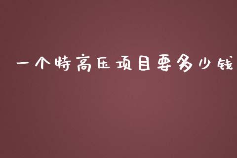 一个特高压项目要多少钱_https://wap.kuaijiepai.net_金融科技_第1张