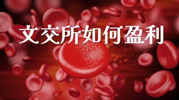 文交所如何盈利_https://wap.kuaijiepai.net_财务风控_第1张