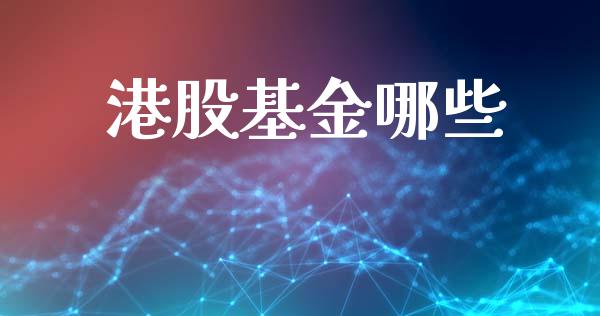 港股基金哪些_https://wap.kuaijiepai.net_财务风控_第1张
