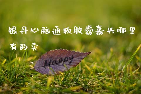银丹心脑通软胶囊嘉兴哪里有的卖_https://wap.kuaijiepai.net_金融科技_第1张