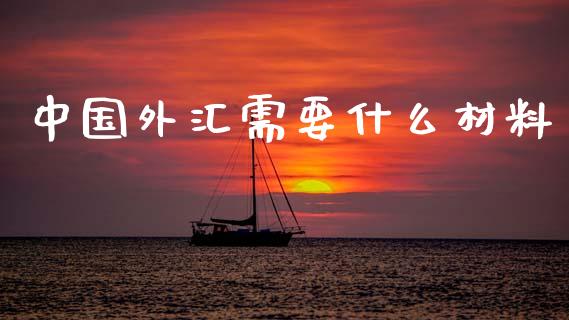 中国外汇需要什么材料_https://wap.kuaijiepai.net_财务咨询_第1张
