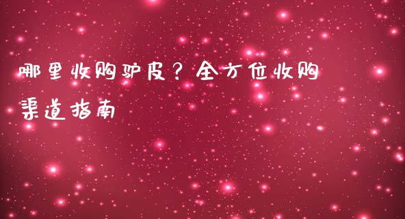 哪里收购驴皮？全方位收购渠道指南_https://wap.kuaijiepai.net_金融科技_第1张