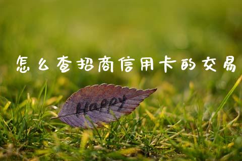 怎么查招商信用卡的交易_https://wap.kuaijiepai.net_财务咨询_第1张