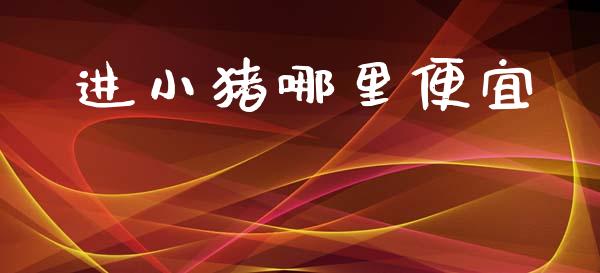进小猪哪里便宜_https://wap.kuaijiepai.net_财务咨询_第1张
