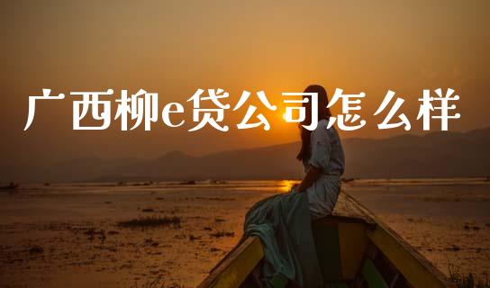 广西柳e贷公司怎么样_https://wap.kuaijiepai.net_财务咨询_第1张