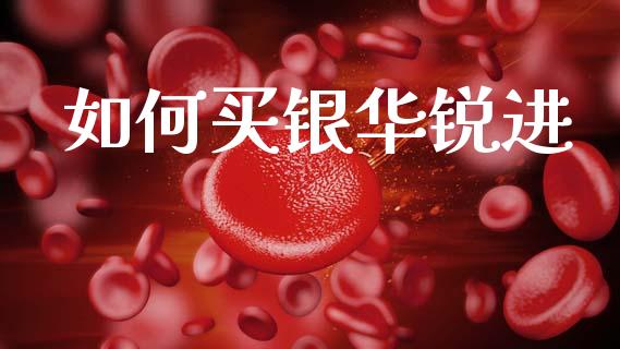 如何买银华锐进_https://wap.kuaijiepai.net_财务风控_第1张