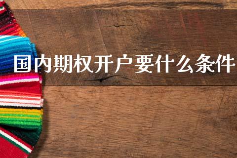 国内期权开户要什么条件_https://wap.kuaijiepai.net_财务咨询_第1张