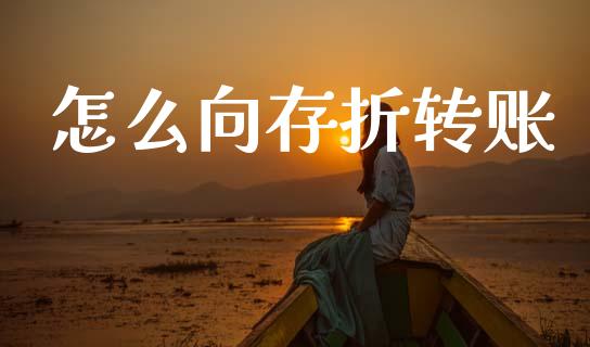 怎么向存折转账_https://wap.kuaijiepai.net_财务咨询_第1张