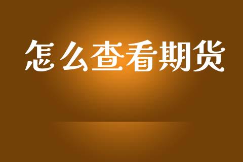 怎么查看期货_https://wap.kuaijiepai.net_财务咨询_第1张