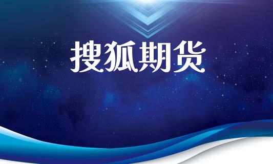 搜狐期货_https://wap.kuaijiepai.net_财务咨询_第1张