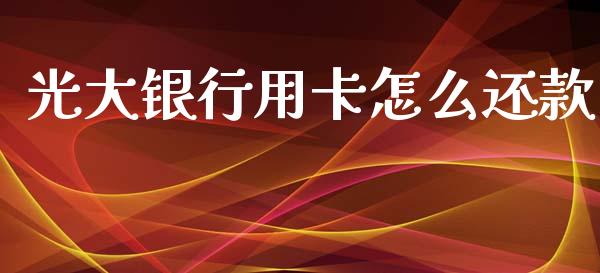 光大银行用卡怎么还款_https://wap.kuaijiepai.net_外汇交易_第1张