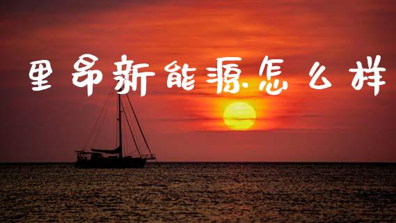 里昂新能源怎么样_https://wap.kuaijiepai.net_财务风控_第1张