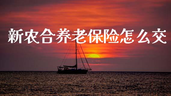新农合养老保险怎么交_https://wap.kuaijiepai.net_财务咨询_第1张