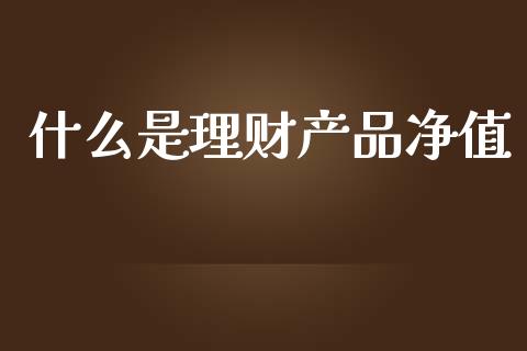 什么是理财产品净值_https://wap.kuaijiepai.net_财务风控_第1张