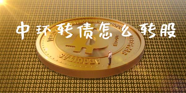 中环转债怎么转股_https://wap.kuaijiepai.net_财务风控_第1张