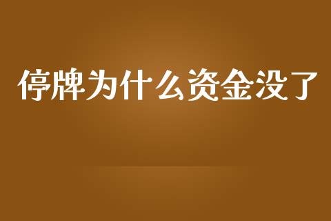 停牌为什么资金没了_https://wap.kuaijiepai.net_财务咨询_第1张