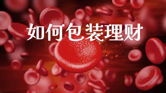 如何包装理财_https://wap.kuaijiepai.net_财务咨询_第1张