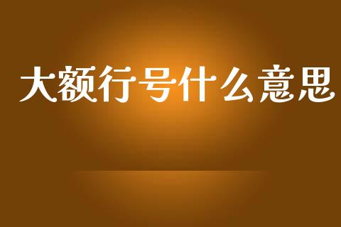 大额行号什么意思_https://wap.kuaijiepai.net_财务咨询_第1张