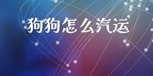 狗狗怎么汽运_https://wap.kuaijiepai.net_金融科技_第1张