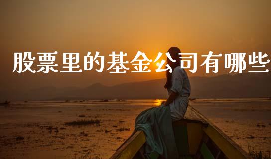 股票里的基金公司有哪些_https://wap.kuaijiepai.net_财务风控_第1张