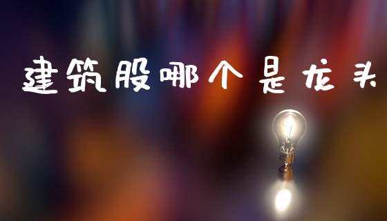 建筑股哪个是龙头_https://wap.kuaijiepai.net_财务咨询_第1张