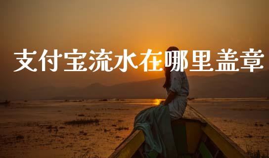 支付宝流水在哪里盖章_https://wap.kuaijiepai.net_财务风控_第1张