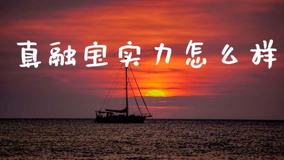 真融宝实力怎么样_https://wap.kuaijiepai.net_财务风控_第1张