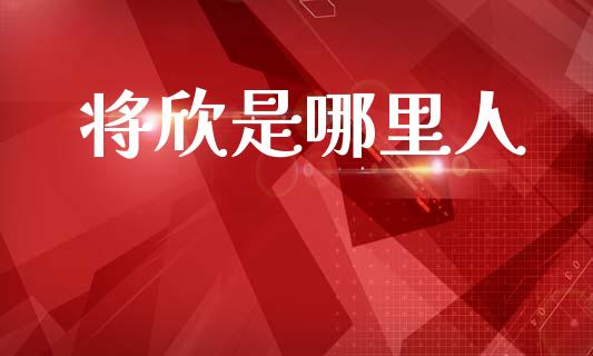 将欣是哪里人_https://wap.kuaijiepai.net_财务风控_第1张