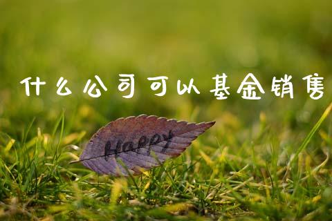 什么公司可以基金销售_https://wap.kuaijiepai.net_财务风控_第1张