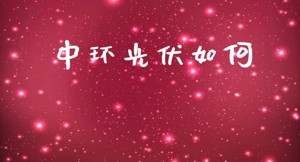 中环光伏如何_https://wap.kuaijiepai.net_财务风控_第1张