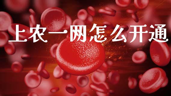 上农一网怎么开通_https://wap.kuaijiepai.net_财务风控_第1张