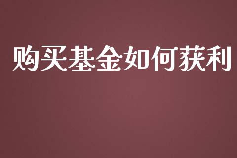 购买基金如何获利_https://wap.kuaijiepai.net_财务风控_第1张