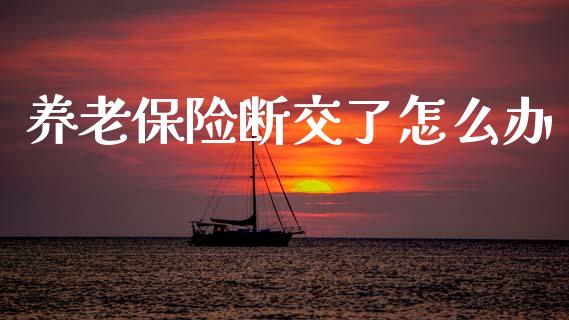 养老保险断交了怎么办_https://wap.kuaijiepai.net_财务咨询_第1张