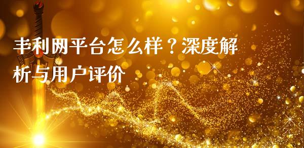 丰利网平台怎么样？深度解析与用户评价_https://wap.kuaijiepai.net_金融科技_第1张