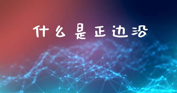 什么是正边沿_https://wap.kuaijiepai.net_财务咨询_第1张