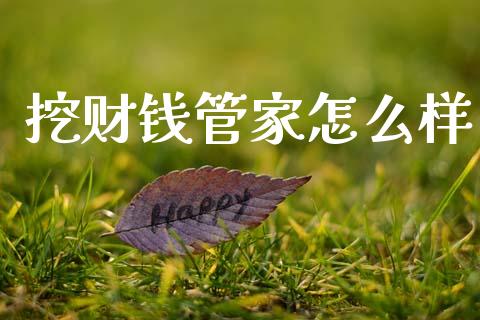 挖财钱管家怎么样_https://wap.kuaijiepai.net_外汇交易_第1张