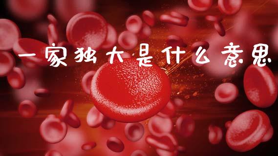 一家独大是什么意思_https://wap.kuaijiepai.net_财务咨询_第1张