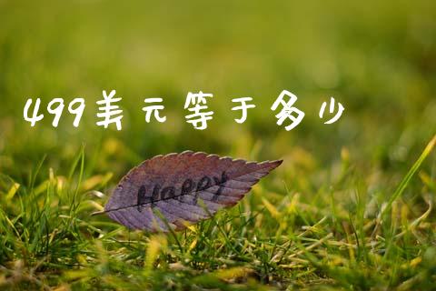 499美元等于多少_https://wap.kuaijiepai.net_财务风控_第1张