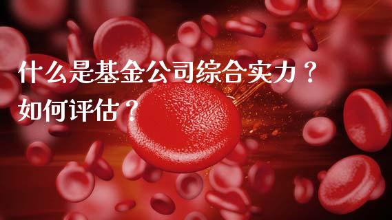 什么是基金公司综合实力？如何评估？_https://wap.kuaijiepai.net_外汇交易_第1张