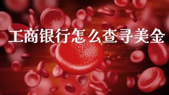 工商银行怎么查寻美金_https://wap.kuaijiepai.net_财务咨询_第1张