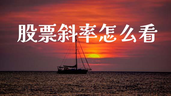 股票斜率怎么看_https://wap.kuaijiepai.net_财务风控_第1张