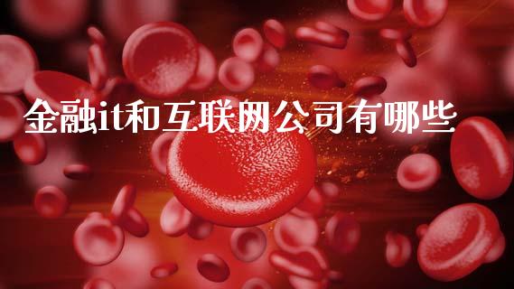 金融it和互联网公司有哪些_https://wap.kuaijiepai.net_金融科技_第1张