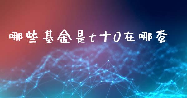 哪些基金是t十0在哪查_https://wap.kuaijiepai.net_外汇交易_第1张