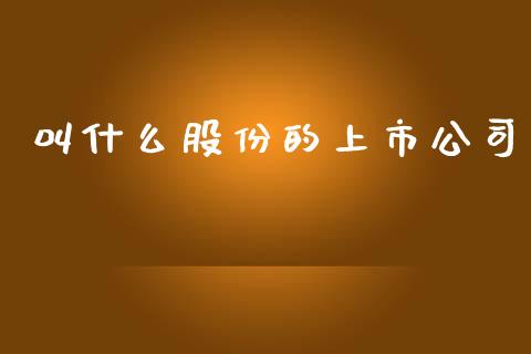 叫什么股份的上市公司_https://wap.kuaijiepai.net_金融科技_第1张