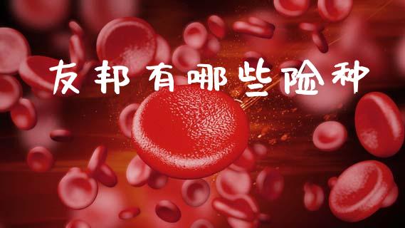友邦有哪些险种_https://wap.kuaijiepai.net_金融科技_第1张