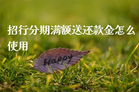 招行分期满额送还款金怎么使用_https://wap.kuaijiepai.net_财务风控_第1张