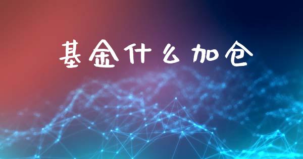 基金什么加仓_https://wap.kuaijiepai.net_财务咨询_第1张